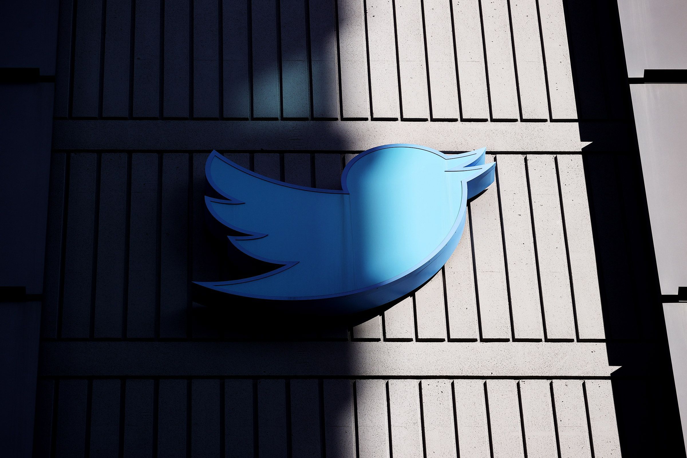 Twitter active data