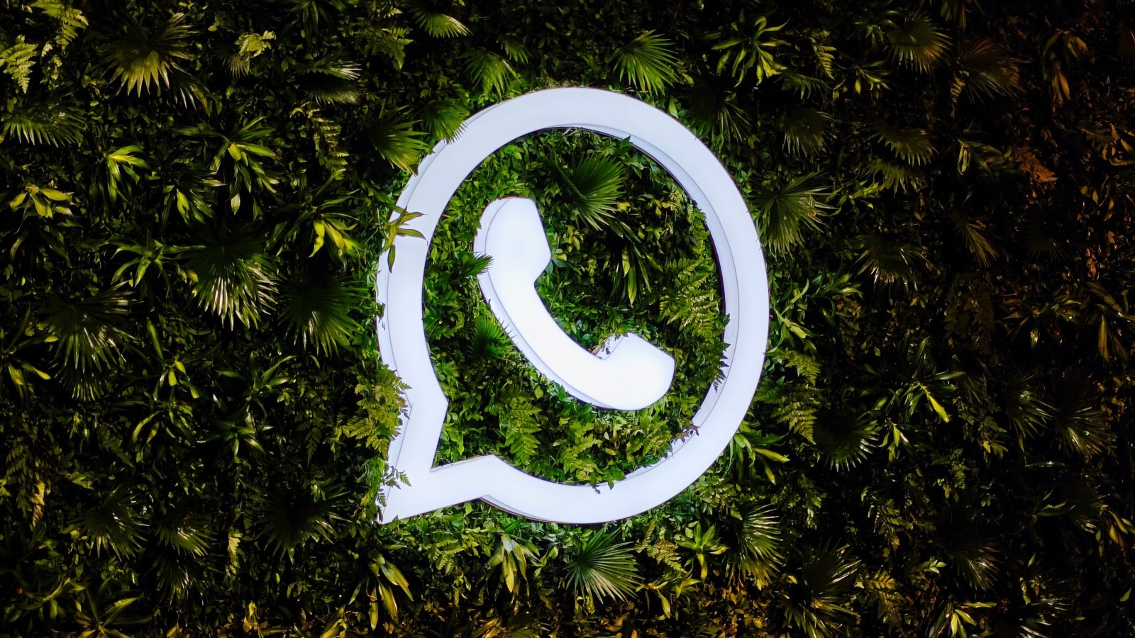 Telegram not adding friends